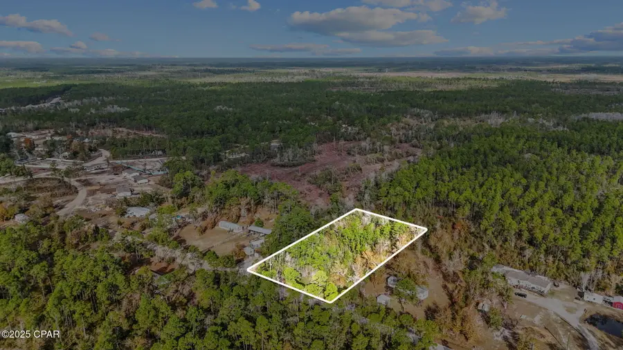 371 Newman Point Road, Southport, FL 32409 - #2