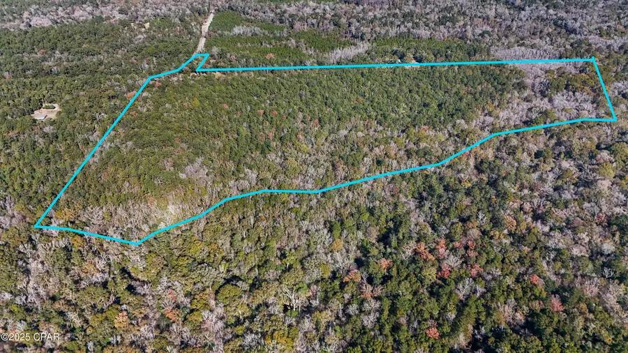 20 Skeeter Road, Ponce De Leon, FL 32455 - Image #3