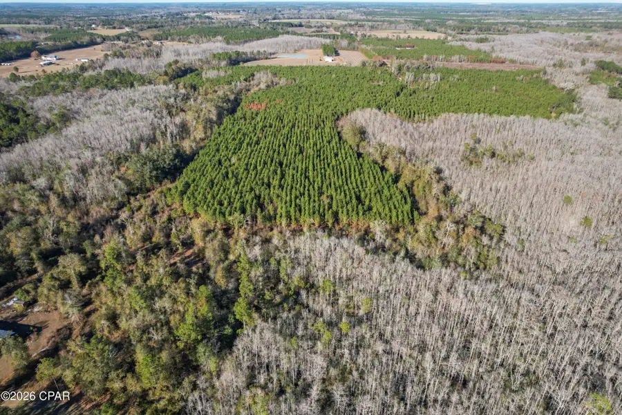 0 New Prospect Road, Chipley, FL 32428 - Image #3