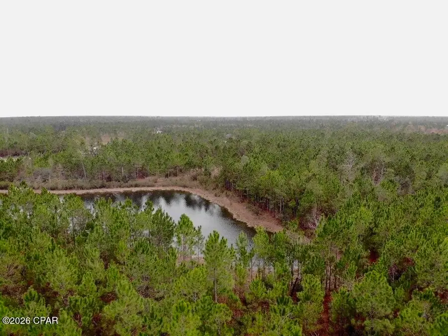 114 Widewater Circle, Wewahitchka, FL 32465 - #2