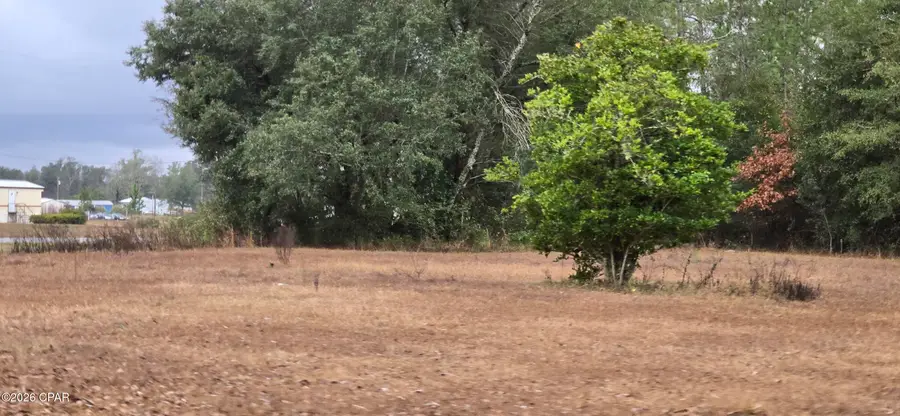 4561 Basswood Road, Greenwood, FL 32443 - Image #2