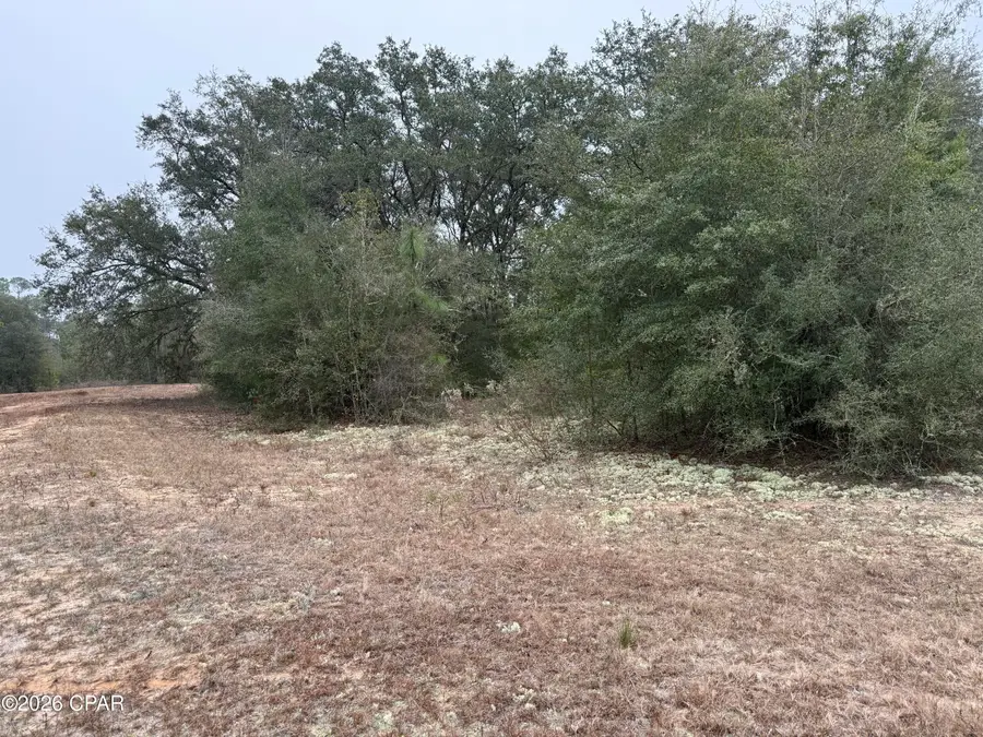 00 Leaf Court, Marianna, FL 32448 - Image #3