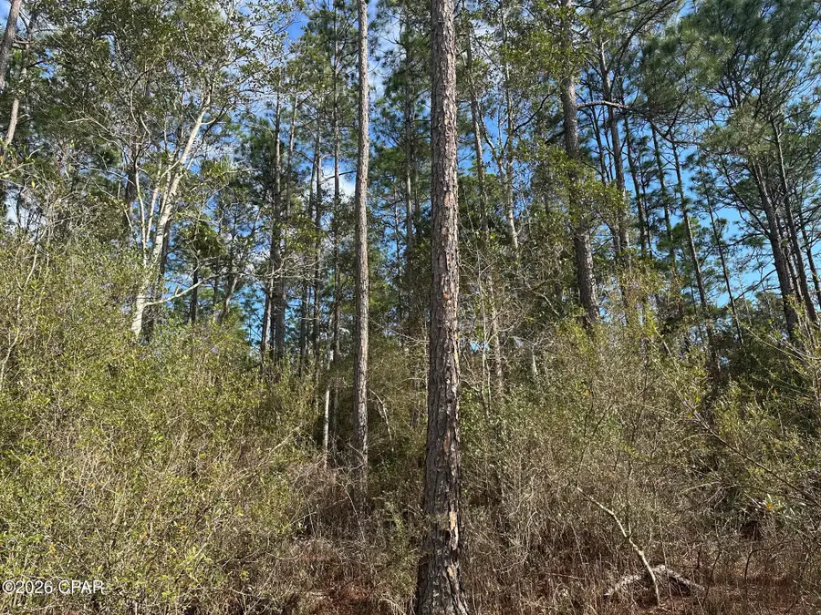 5033 Douglas Ferry Road, Caryville, FL 32427 - Image #2