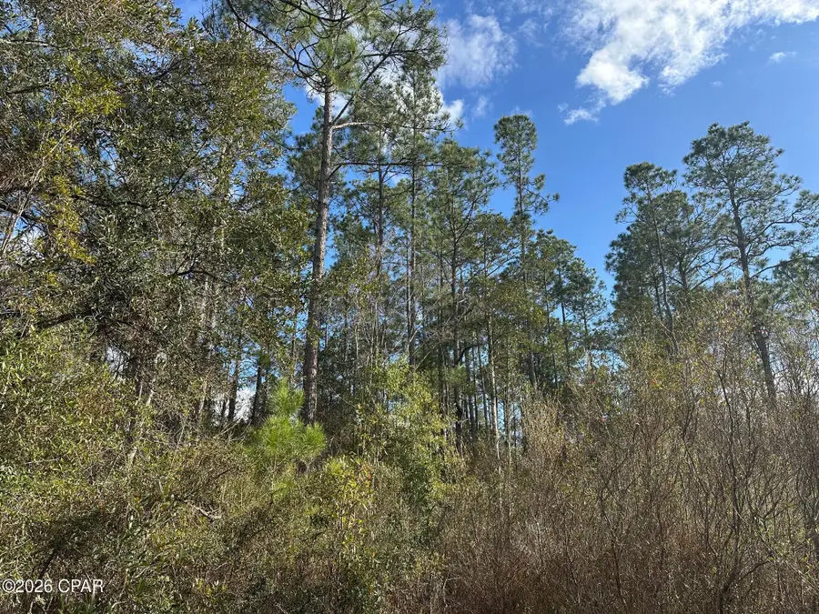 5033 Douglas Ferry Road, Caryville, FL 32427 - Image #3