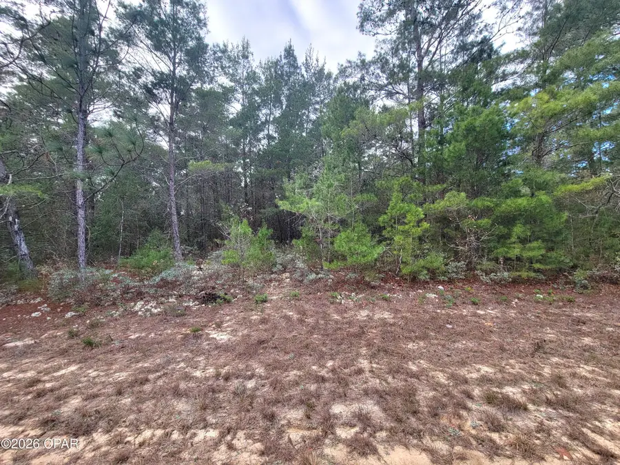 TBD Luar Avenue, Chipley, FL 32428 - Image #3
