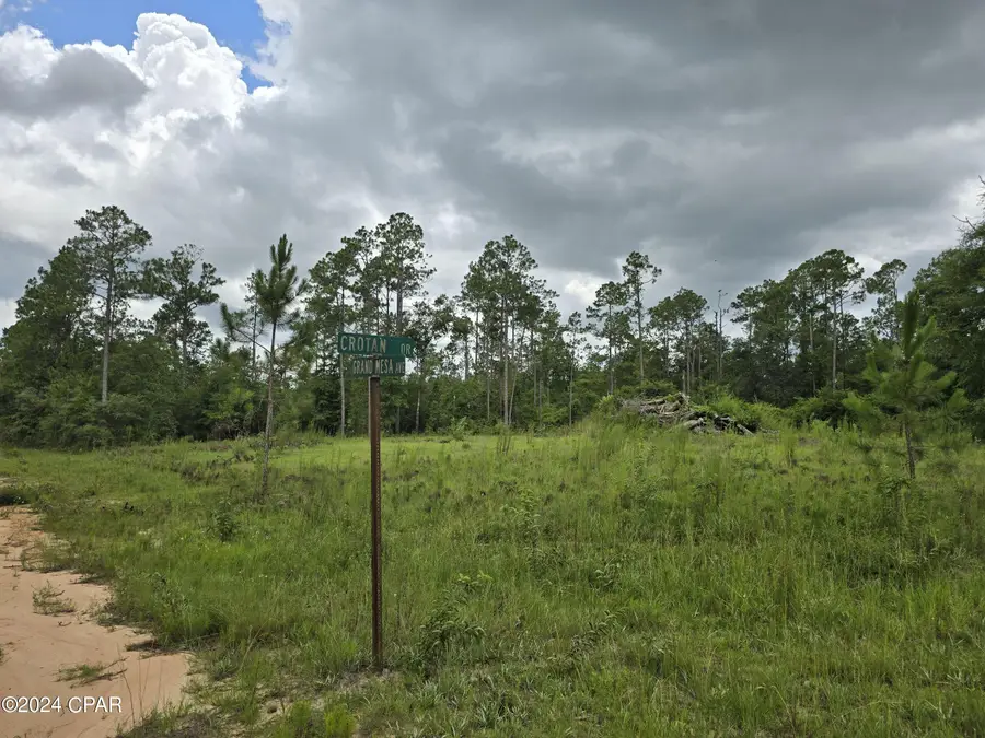 000 Crotan Drive, Alford, FL 32420 - Image #3