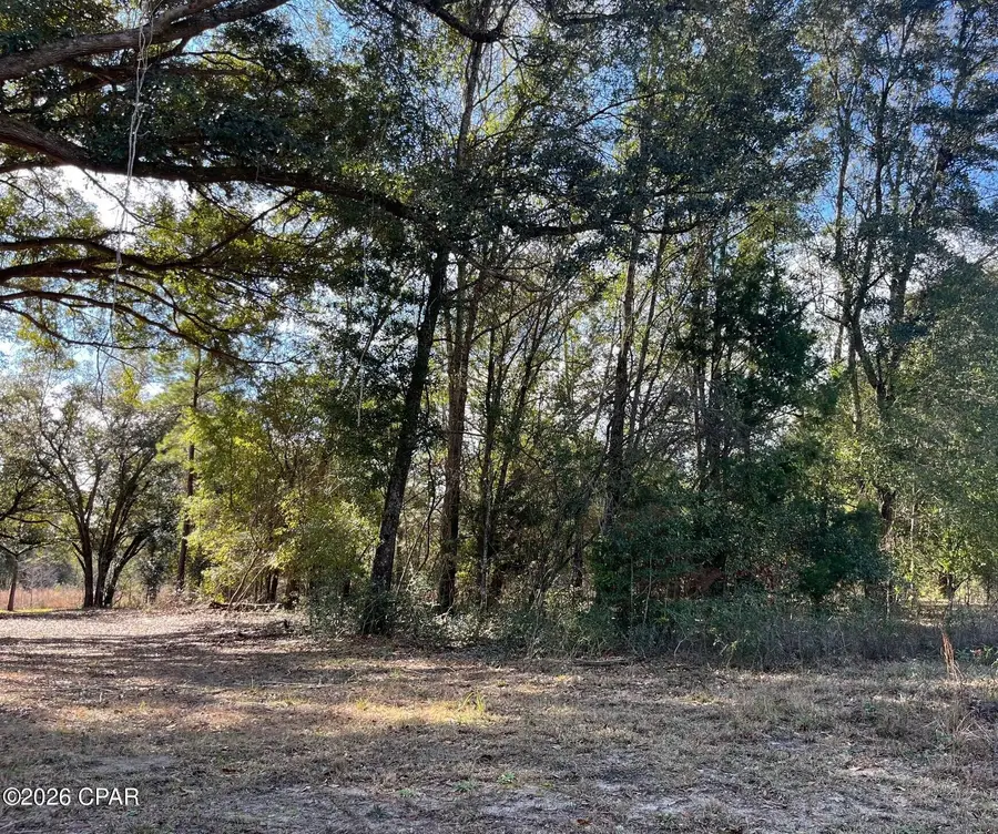 00 Welcome Church Rd, Sneads, FL 32460 - Image #3