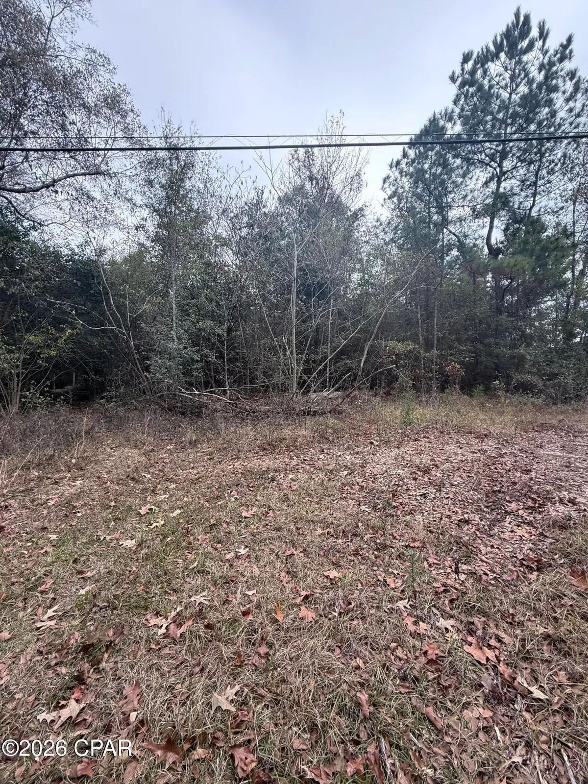 0 Dairy Road, Sneads, FL 32460 - Image #1