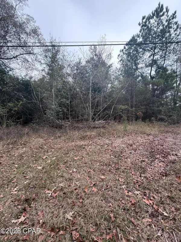 0 Dairy Road, Sneads, FL 32460