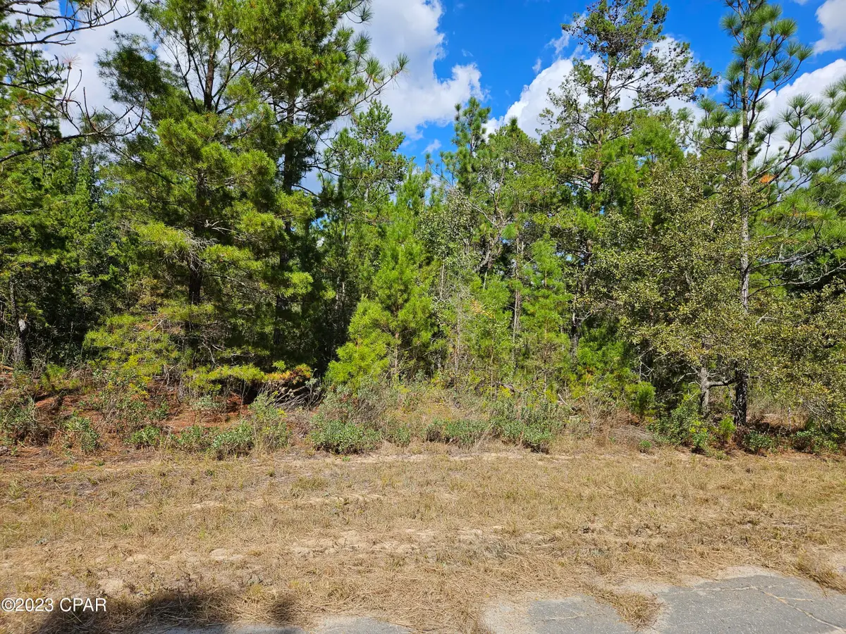 Lot 5 Rockford Drive, Chipley, FL 32428 - Image #1