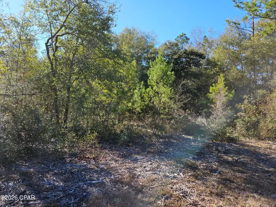Lot 5 Rockford Drive, Chipley, FL 32428 - Image #2