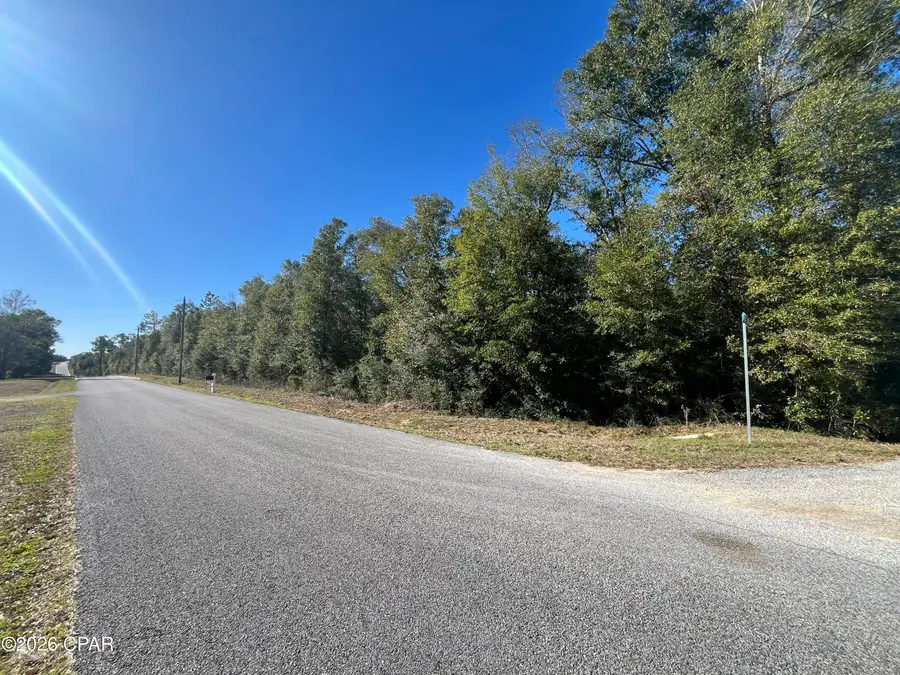 xxx Sweetwater Branch, Fountain, FL 32438 - Image #2