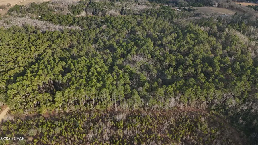 000 T J Mitchell Road, Bonifay, FL 32425 - #2