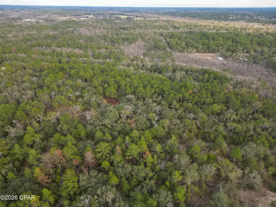 1853 Winterville Lane, Bonifay, FL 32425 - #2