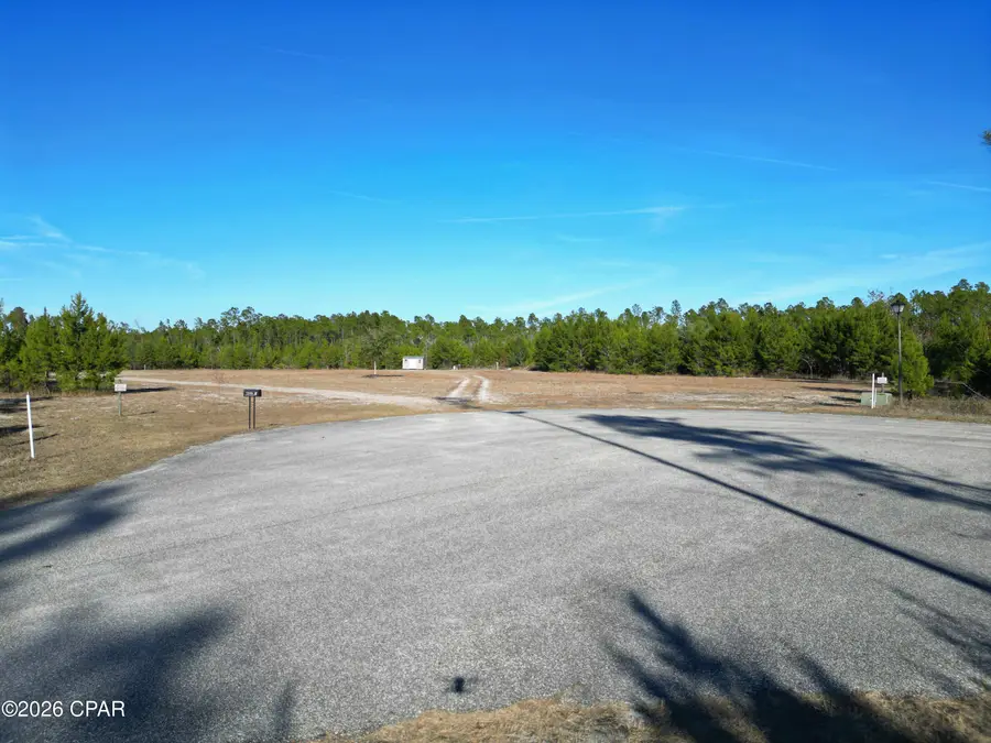 16078 NW Longbranch Street, Bristol, FL 32321 - #3