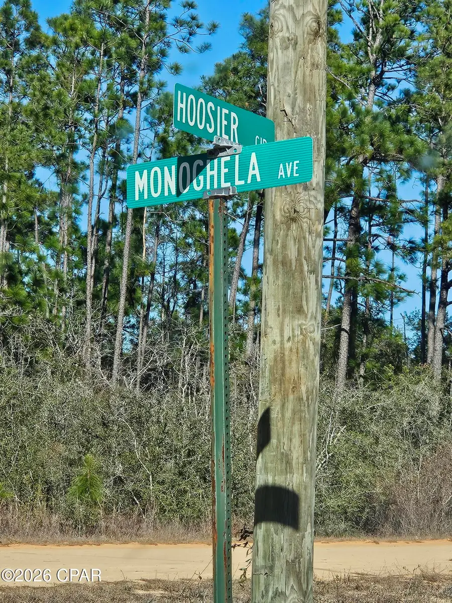 00 Monogahela Avenue, Alford, FL 32420 - #3