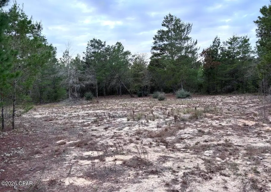 00 Fairhaven Drive #Lot 10, Chipley, FL 32428 - #2