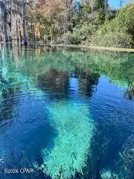 000 Flynt Drive, Marianna, FL 32446