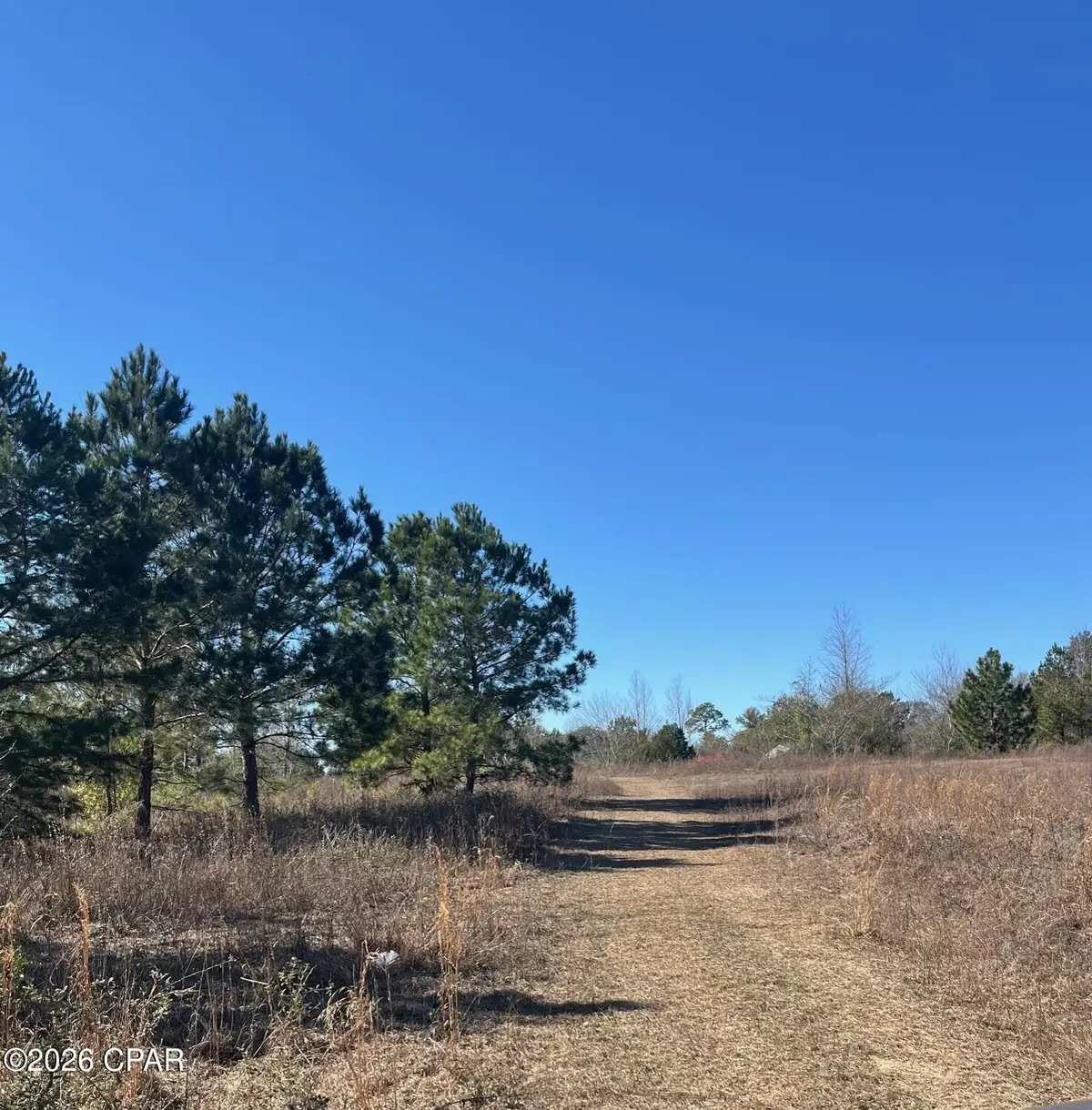 2889 Salem Church Road, Sneads, FL 32460 - Image #1