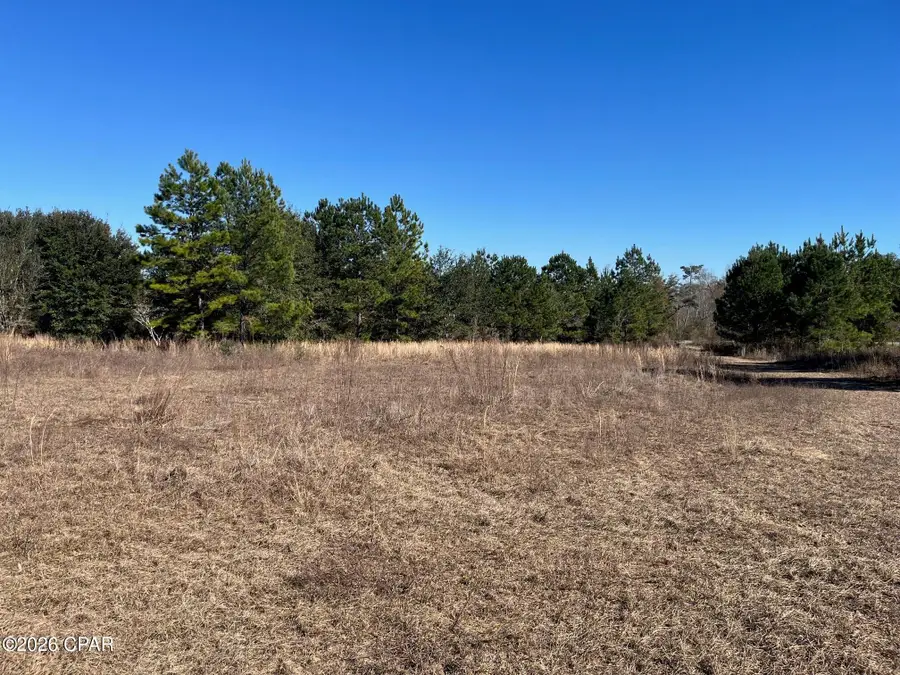 2889 Salem Church Road, Sneads, FL 32460 - Image #2