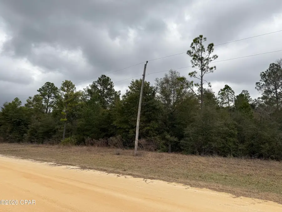 000 Russell Avenue, Alford, FL 32420 - #2