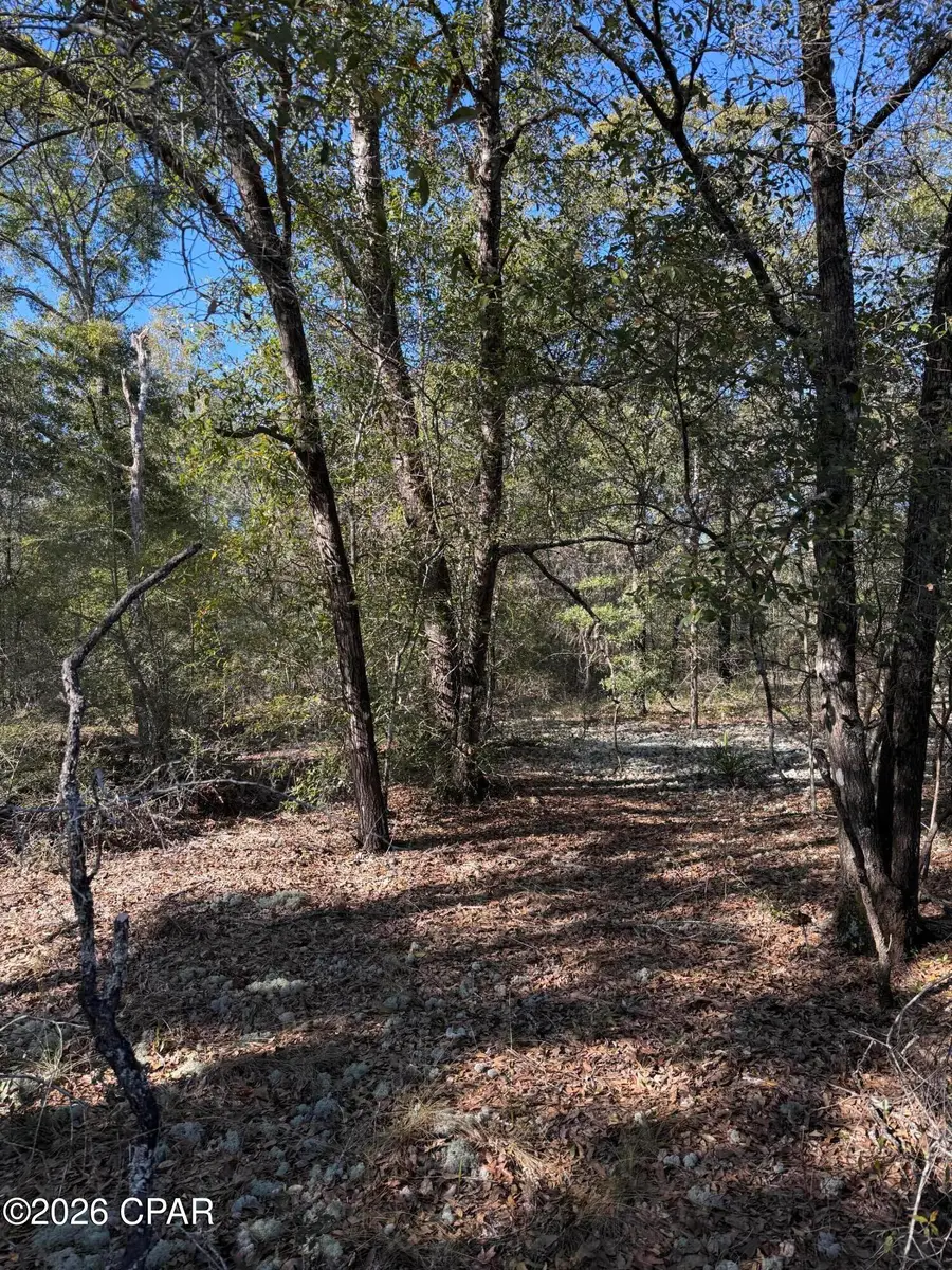 000 Birwood Court, Chipley, FL 32428 - Image #2