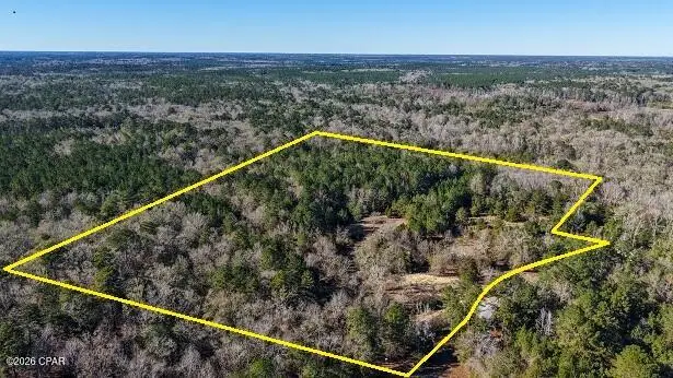 660 White Creek Road, Ponce De Leon, FL 32455 - #2