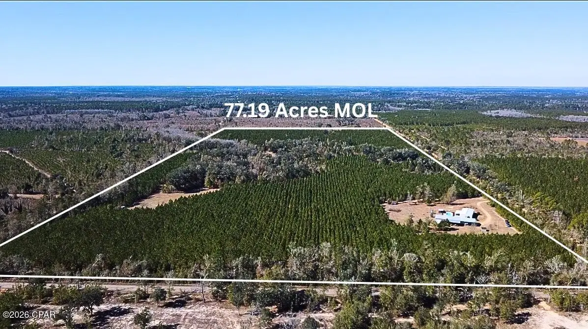 1112 Max Herrin Road, Chattahoochee, FL 32324 - #1