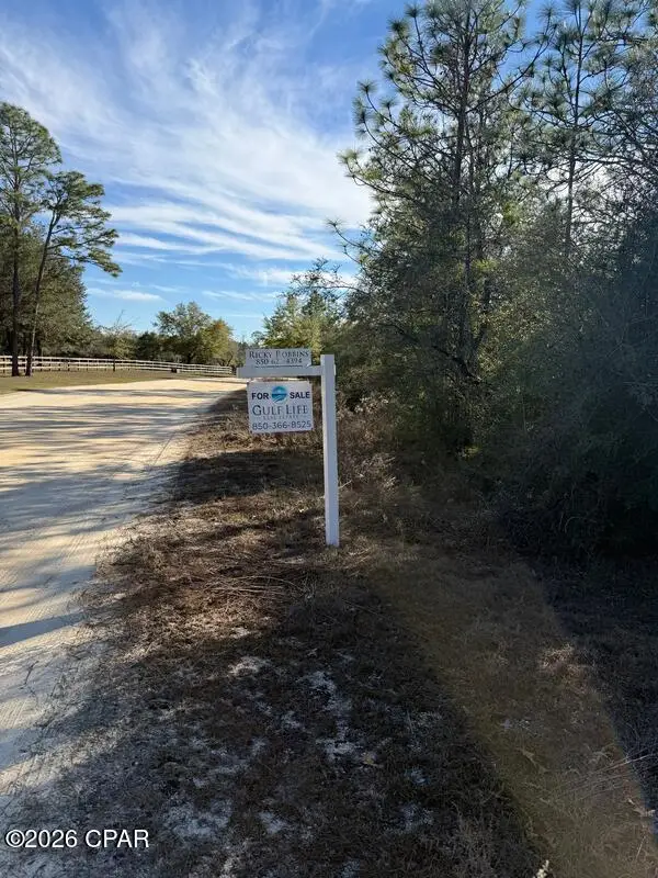 Lot 21 Grassy Pond Road, Chipley, FL 32428