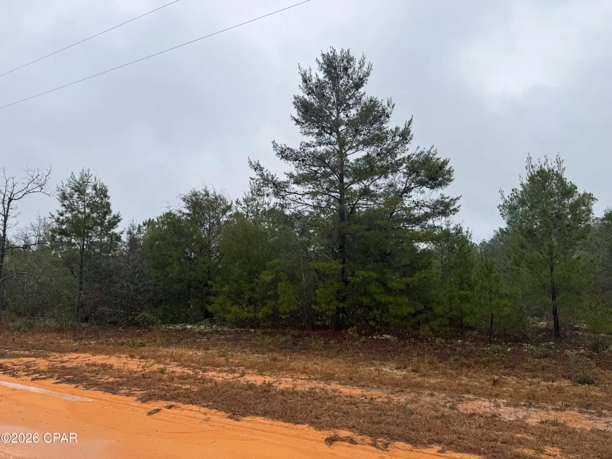 000 Marville Drive, Marianna, FL 32448 - Image #1