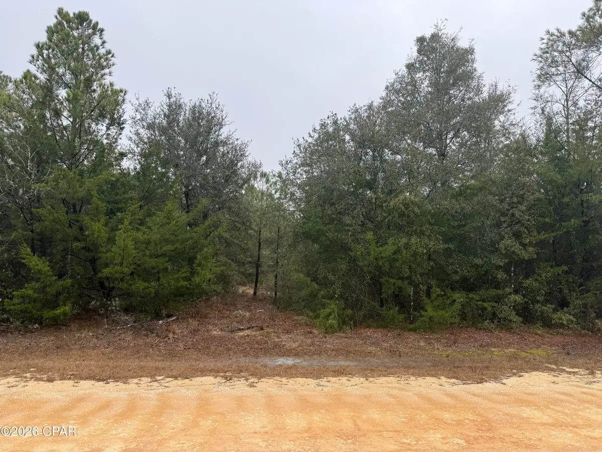 000 Elm Road, Marianna, FL 32448 - Image #1