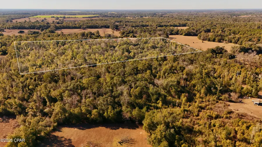 Lot 1 Oscar Road, Greenwood, FL 32443 - #2