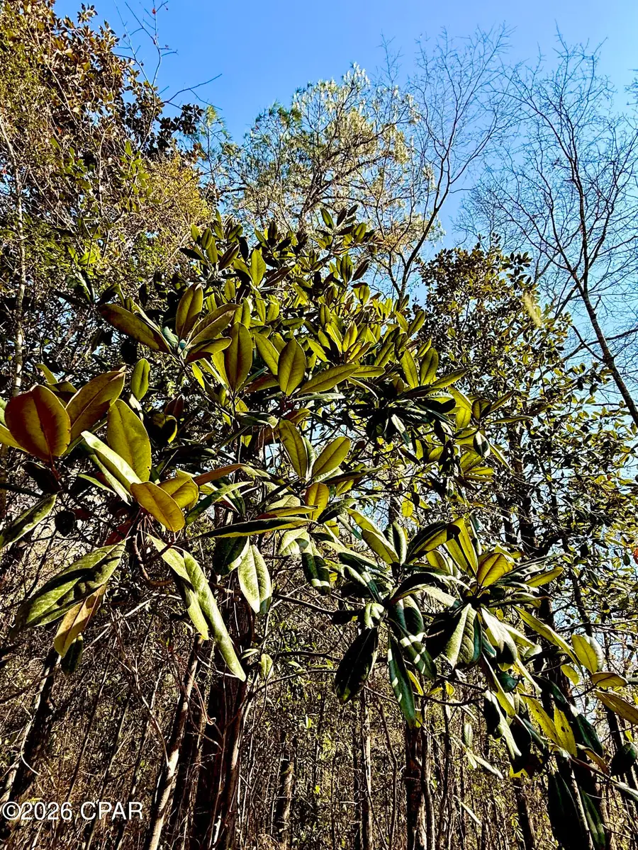 0 Hwy 2a, Westville, FL 32464 - #3