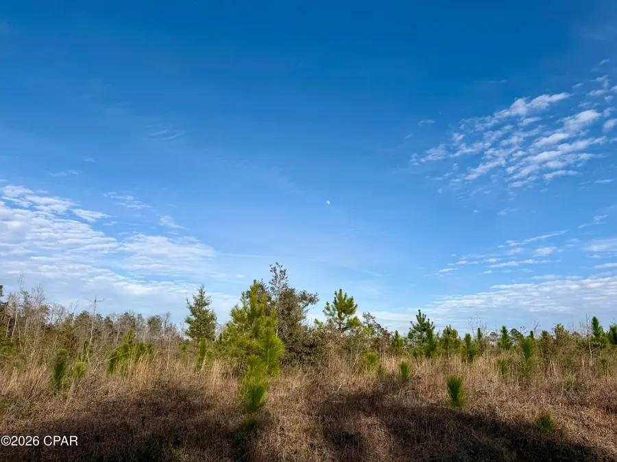 25 acres Davenport Road, Marianna, FL 32448 - Image #3