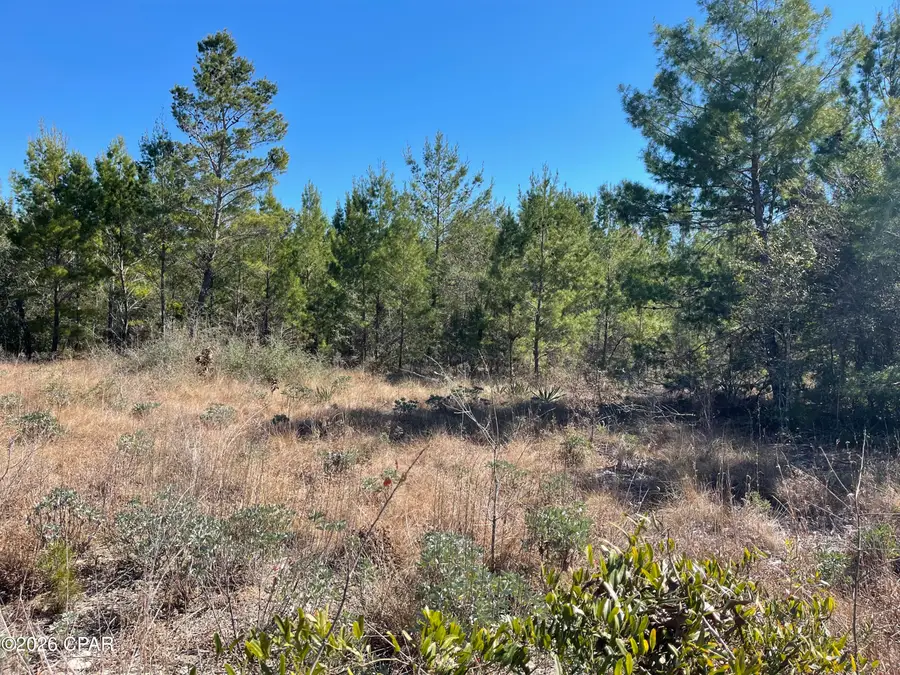 00000 Velvet Drive, Chipley, FL 32428 - #3