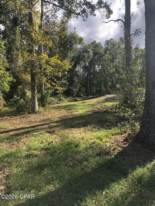 7322 E Max Fleming Road, Wewahitchka, FL 32465