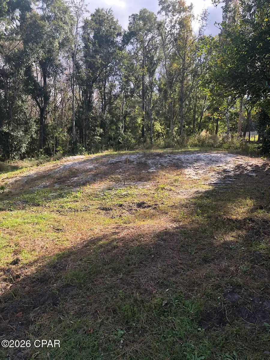 7322 E Max Fleming Road, Wewahitchka, FL 32465 - #3