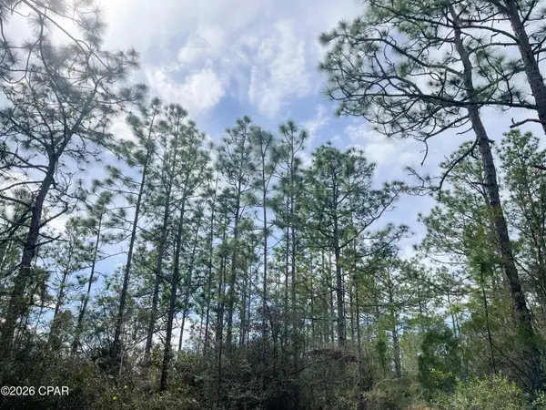 3340 Varsey Lane, Marianna, FL 32448