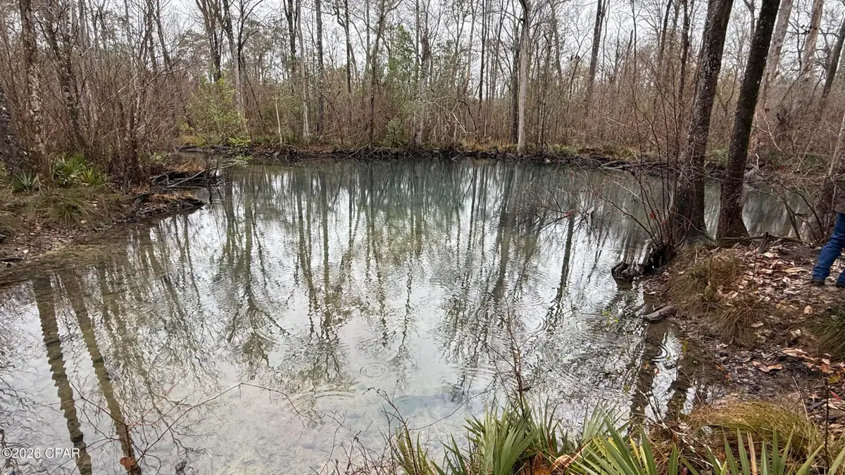 0 Otter Creek Bridge Road, Ebro, FL 32437 - #1