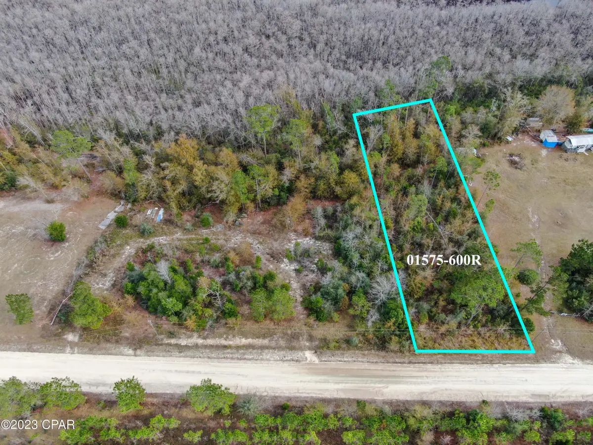 706 Dead Lakes Drive, Wewahitchka, FL 32465 - #1