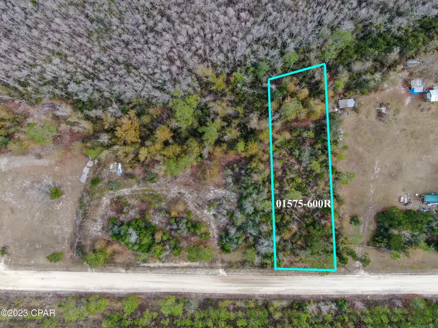 706 Dead Lakes Drive, Wewahitchka, FL 32465 - #2