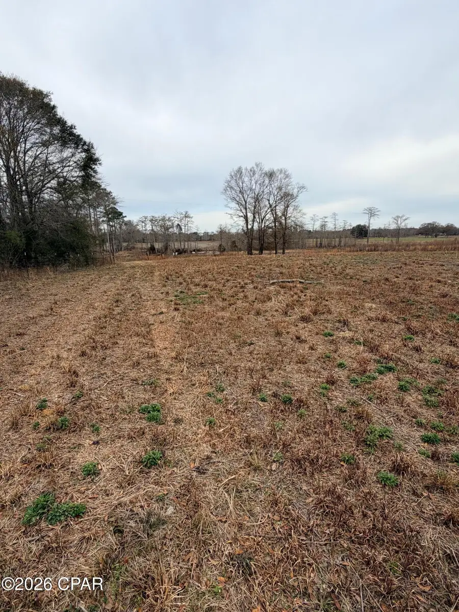 TBD Jj Whitaker Rd, Bonifay, FL 32425 - #3