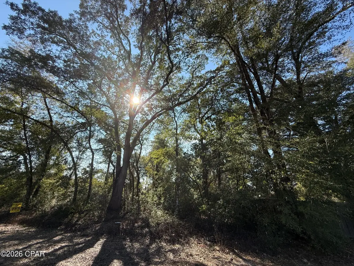 0001 Appalachee Trail, Marianna, FL 32446 - #1