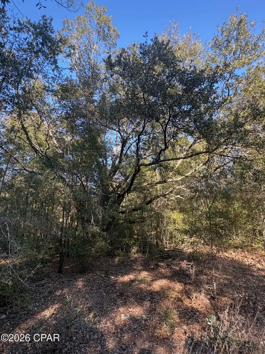 lot 55 Owl Court, Marianna, FL 32448 - #2