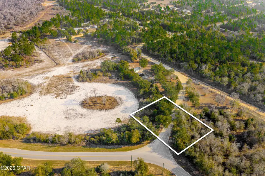 0 NW Palm Beach Drive, Altha, FL 32421 - #3