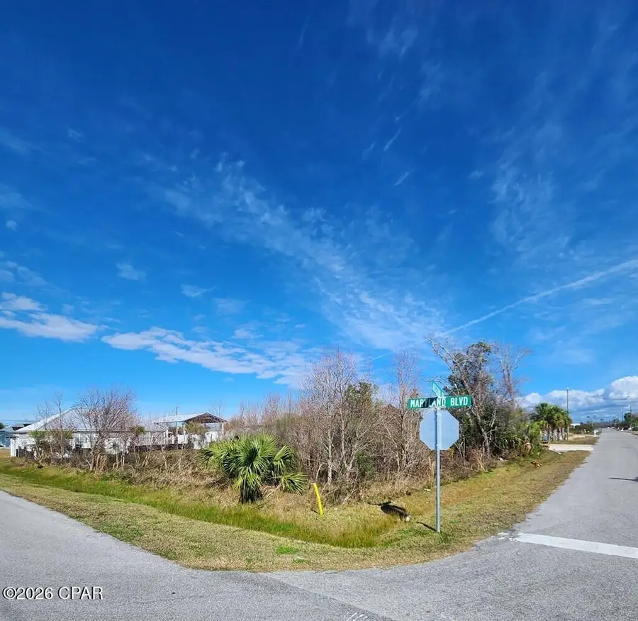 401 Arizona Drive, Mexico Beach, FL 32456 - #3