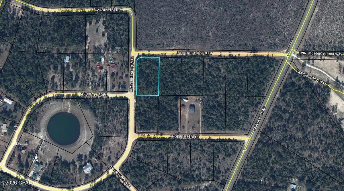 TBD Beaverhead Street, Alford, FL 32420 - #1