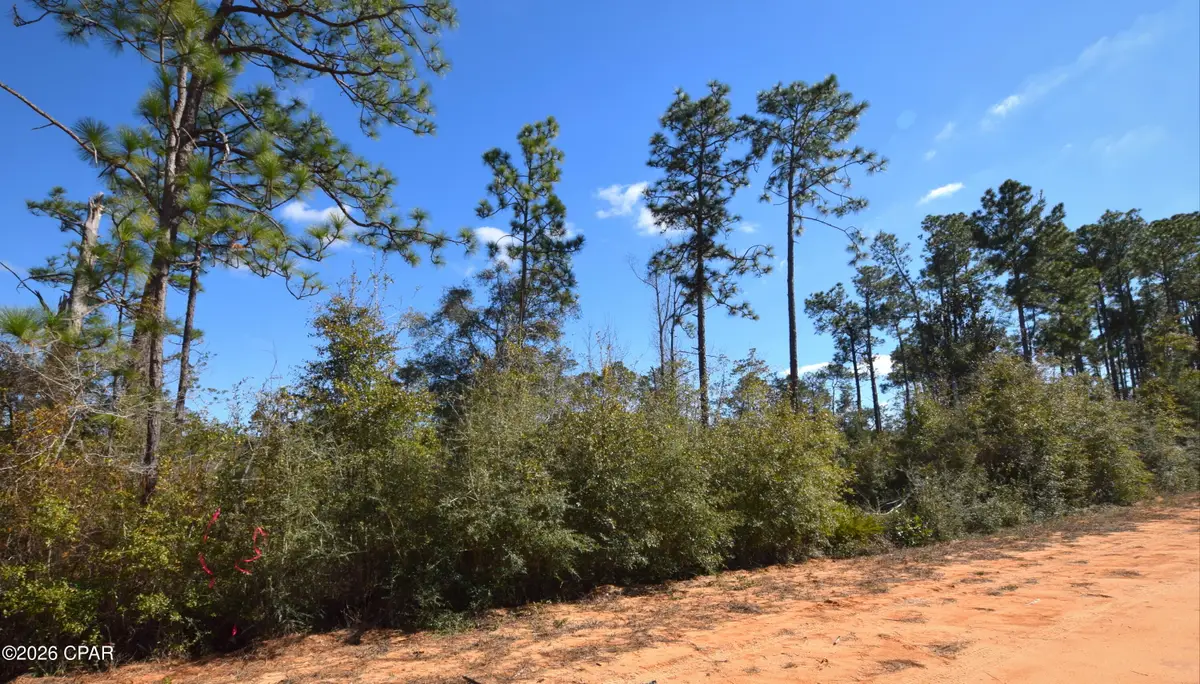 XXX Fairborn Avenue, Alford, FL 32420 - #1