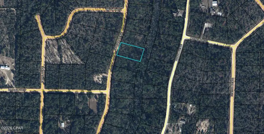 XXX Fairborn Avenue, Alford, FL 32420 - #2
