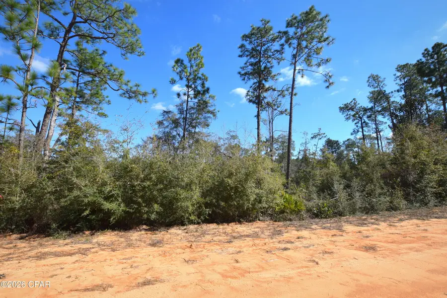 XXX Fairborn Avenue, Alford, FL 32420 - #3